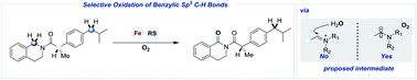 Graphical abstract: Thiyl radical promoted iron-catalyzed-selective oxidation of benzylic sp3 C–H bonds with molecular oxygen