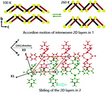 Graphical abstract: Accordion and layer-sliding motion to produce anomalous thermal expansion behaviour in 2D-coordination polymers