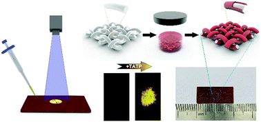 Graphical abstract: Handy fluorescent paper device based on a curcumin derivative for ultrafast detection of peroxide-based explosives