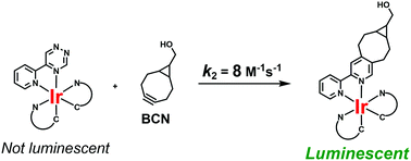 Graphical abstract: Iridium(iii) complexes of 1,2,4-triazines as potential bioorthogonal reagents: metal coordination facilitates luminogenic reaction with strained cyclooctynes