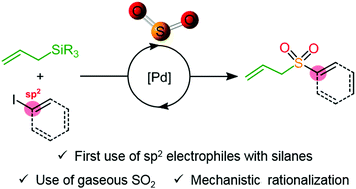 Graphical abstract: SO2 conversion to sulfones: development and mechanistic insights of a sulfonylative Hiyama cross-coupling