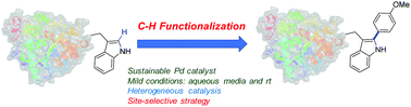 Graphical abstract: Site-selective modification of tryptophan and protein tryptophan residues through PdNP bionanohybrid-catalysed C–H activation in aqueous media