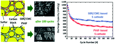 Graphical abstract: The effect of polymeric binders in the sulfur cathode on the cycling performance for lithium–sulfur batteries