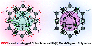 Graphical abstract: Protection strategies for directionally-controlled synthesis of previously inaccessible metal–organic polyhedra (MOPs): the cases of carboxylate- and amino-functionalised Rh(ii)-MOPs