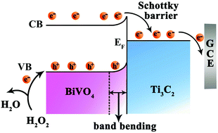 Graphical abstract: Ti3C2/BiVO4 Schottky junction as a signal indicator for ultrasensitive photoelectrochemical detection of VEGF165