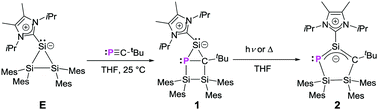 Graphical abstract: Formation of an NHC-stabilized heterocyclic housane and its isomerization into a cyclopentenyl anion analogue