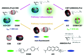 Graphical abstract: A supramolecular five-component relay switch that exposes the mechanistic competition of dissociative versus associative binding to cucurbiturils by ratiometric fluorescence monitoring