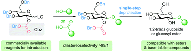 Graphical abstract: 2-O-Benzyloxycarbonyl protected glycosyl donors: a revival of carbonate-mediated anchimeric assistance for diastereoselective glycosylation