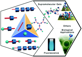 Graphical abstract: Recent advances in the development of rotaxanes and pseudorotaxanes based on pillar[n]arenes: from construction to application