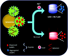 Graphical abstract: Optical pico-biosensing of lead using plasmonic gold nanoparticles and a cationic peptide-based aptasensor