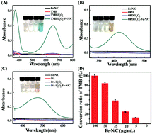 Graphical abstract: Fe–N/C single-atom catalysts exhibiting multienzyme activity and ROS scavenging ability in cells