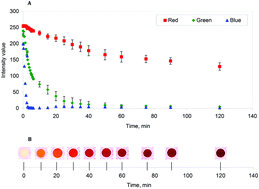 Graphical abstract: Determining transaminase activity in bacterial libraries by time-lapse imaging