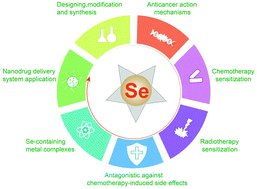 Graphical abstract: Rational design and action mechanisms of chemically innovative organoselenium in cancer therapy