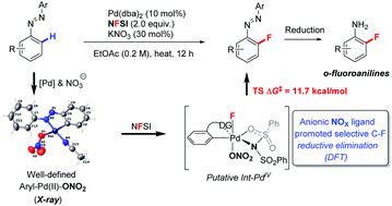 Graphical abstract: Anion ligand promoted selective C–F bond reductive elimination enables C(sp2)–H fluorination