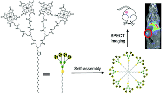Graphical abstract: A self-assembling amphiphilic dendrimer nanotracer for SPECT imaging