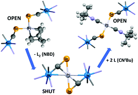 Graphical abstract: Bridging selenocarbonyl ligands: an open and shut case