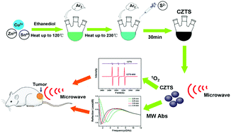 Graphical abstract: Cu2ZnSnS4 nanocrystals for microwave thermal and microwave dynamic combination tumor therapy