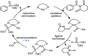 Graphical abstract: Mechanism of C–P bond formation via Pd-catalyzed decarbonylative phosphorylation of amides: insight into the chemistry of the second coordination sphere