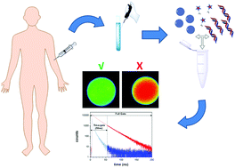 Graphical abstract: miR-122 direct detection in human serum by time-gated fluorescence imaging