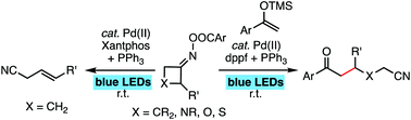 Graphical abstract: Visible light-induced palladium-catalyzed ring opening β-H elimination and addition of cyclobutanone oxime esters