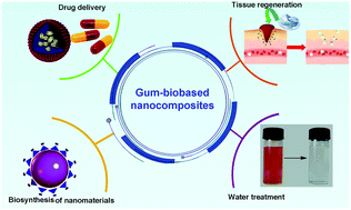 Graphical abstract: Antimicrobial gum bio-based nanocomposites and their industrial and biomedical applications