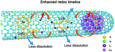 Graphical abstract: Cobalt nanoparticles shielded in N-doped carbon nanotubes for high areal capacity Li–S batteries