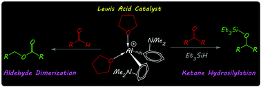 Graphical abstract: Organoaluminum cations for carbonyl activation