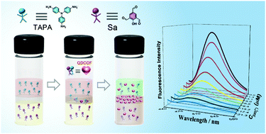 Graphical abstract: Crystalline quantum dots of covalent organic frameworks for fast and sensitive detection of uranium