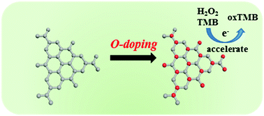 Graphical abstract: Highly active metal-free peroxidase mimics based on oxygen-doped carbon nitride by promoting electron transfer capacity