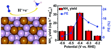 Graphical abstract: Unusual electrochemical N2 reduction activity in an earth-abundant iron catalyst via phosphorous modulation