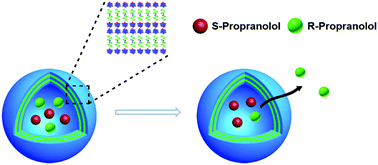 Graphical abstract: Light-responsive vesicles for enantioselective release of chiral drugs prepared from a supra-amphiphilic M-helix