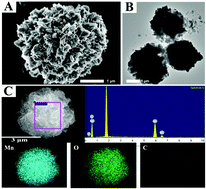 Graphical abstract: MnOx MFs as a coreaction accelerator for the construction of a novel ternary electrochemiluminescence system: ultrasensitive detection of microRNA