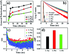 Graphical abstract: Interaction of monomeric and self-assembled aromatic amino acids with model membranes: self-reproduction phenomena