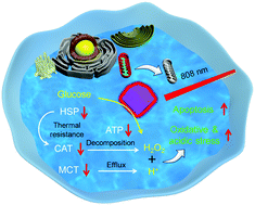 Graphical abstract: A biomimetic MOF nanoreactor enables synergistic suppression of intracellular defense systems for augmented tumor ablation