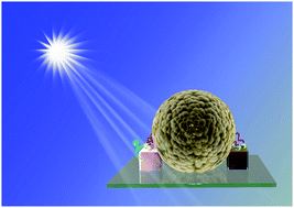 Graphical abstract: Synergistic bio-recognition/spatial-confinement for effective capture and sensitive photoelectrochemical detection of MCF-7 cells