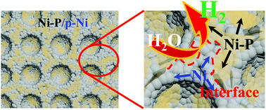 Graphical abstract: Ordered porous Ni in situ decorated by thin-layer amorphous nickel–phosphorus via mild electrochemical-phosphorization for enhancing the hydrogen evolution performance