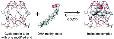 Graphical abstract: A novel molecular tube fully modified at one end: selective inclusion of cis-unsaturated fatty acid esters