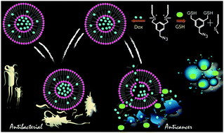 Graphical abstract: A stimuli-responsive anticancer drug delivery system with inherent antibacterial activities