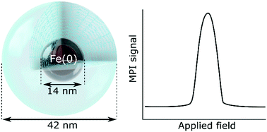 Graphical abstract: Zero valent iron core–iron oxide shell nanoparticles as small magnetic particle imaging tracers