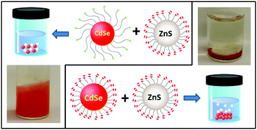 Graphical abstract: Exploiting kinetics for assembly of multicomponent nanoparticle networks with programmable control of heterogeneity