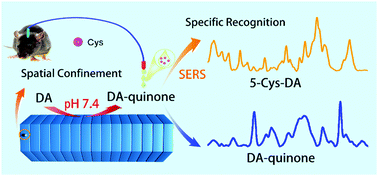 Graphical abstract: Stacked hexagonal prism of Ag@Ni-MOF-1 as functionalized SERS platform through rational integration of catalytic synthesis of dopamine-quinone at physiological pH with a biomimetic route