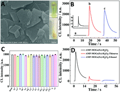 Graphical abstract: An assay for Staphylococcus aureus based on a self-catalytic ampicillin–metal (Fe3+)-organic gels–H2O2 chemiluminescence system with near-zero background noise