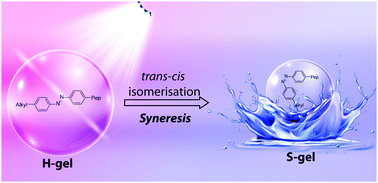 Graphical abstract: Light-triggered syneresis of a water insoluble peptide-hydrogel effectively removes small molecule waste contaminants