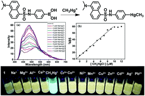 Graphical abstract: Fast and sensitive fluorescent detection of inorganic mercury species and methylmercury using a fluorescent probe based on the displacement reaction of arylboronic acid with the mercury species