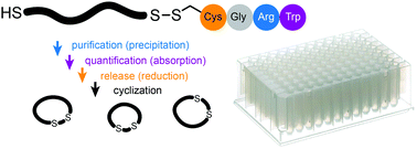 Graphical abstract: A releasable disulfide-linked peptide tag facilitates the synthesis and purification of short peptides