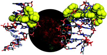 Graphical abstract: Photoactive metal complexes that bind DNA and other biomolecules as cell probes, therapeutics, and theranostics