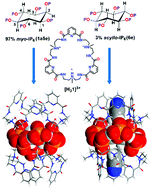 Graphical abstract: Supramolecular traps for highly phosphorylated inositol sources of phosphorus