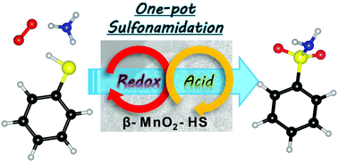 Graphical abstract: One-pot aerobic oxidative sulfonamidation of aromatic thiols with ammonia by a dual-functional β-MnO2 nanocatalyst