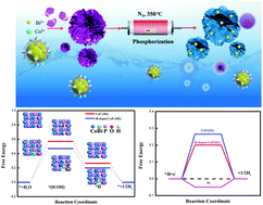 Graphical abstract: MOF-derived hierarchical 3D bi-doped CoP nanoflower eletrocatalyst for hydrogen evolution reaction in both acidic and alkaline media