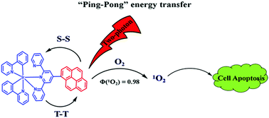Graphical abstract: Smart use of “ping-pong” energy transfer to improve the two-photon photodynamic activity of an Ir(iii) complex